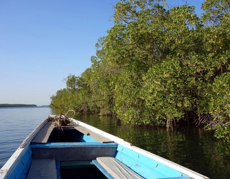 Circuit Au coeur du Sénégal et ses mangroves - 3