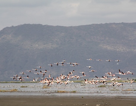 Safari Privatif - En Terre Sauvage - 2