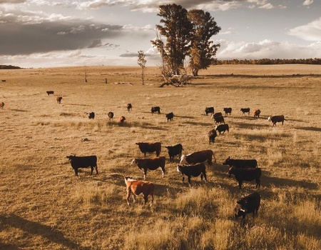 Circuit Escapade en Argentine (Petit groupe) - Pré extension Ushuaia - 3