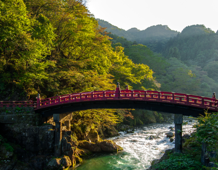 Circuit Au Coeur du Japon, Authentique et Insolite, Nikko et Tokyo en Liberté