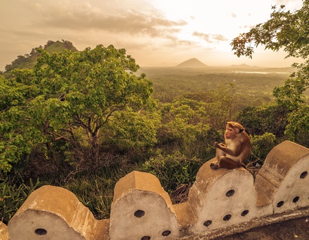 Circuit Découvertes Sri lankaises en 5* - 3
