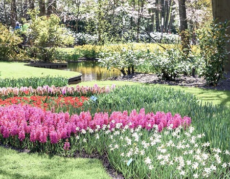Découvrez Scheveningen et le Keukenhof en un week-end - 3* - 1