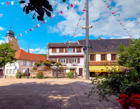 Séjour à Strasbourg avec entrée à Europa Park inclus (à 50min du parc) - 3* - 5