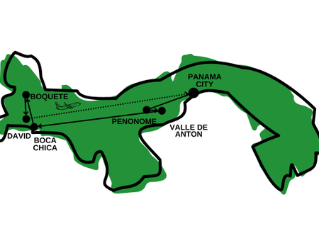 Circuit Panama, Couleur Café - 2