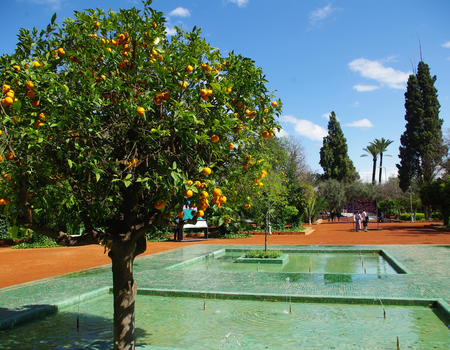 City Break Marrakech Découverte - Marrakech, Maroc - Image 3