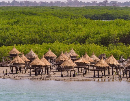 Mon Circuit Privé du Siné Saloum aux Plages de la Petite Côte - Sénégal, Afrique Océan Indien - Image 3