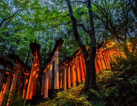 Circuit Sur les pas des Samouraïs - 4