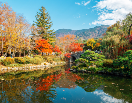 Circuit Du Japon à la Corée, Couleurs du Soleil Levant...