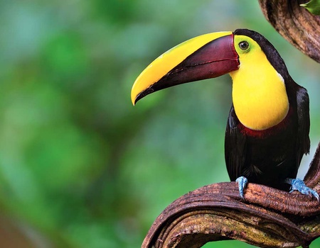 Road Trip L'Éden vert - 1