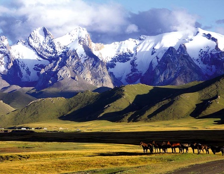 Circuit Découverte du Kirghizistan - 5