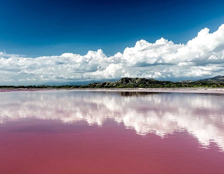 Circuit Saveurs du Sénégal - 1