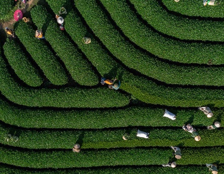 Vietnam Intimiste 17J/14N - Limité à 16 pers. - 5