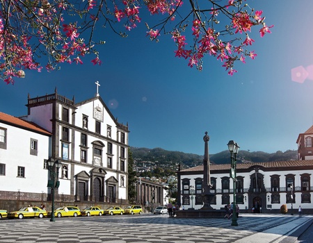 Madère en liberté - Flex - Madère - 4