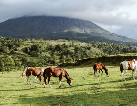 Circuit Costa Rica, terre d'émeraude et de saphir - 3