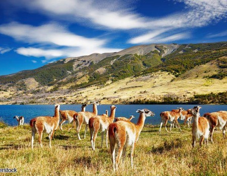 Circuit Chili : Beautés sauvages - 4