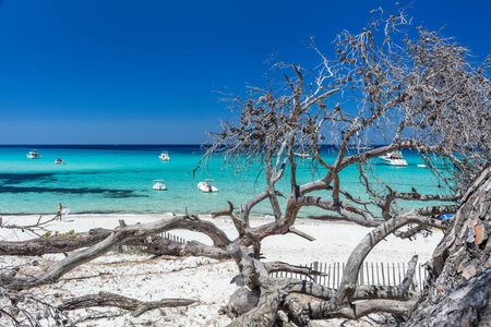 Circuit Sur la route de la Haute-Corse épicurienne au départ de Bastia - 3