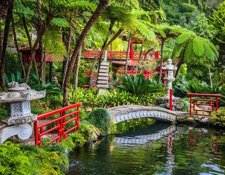 Circuit Echappée Jardins de Madère depuis l'hôtel Dreams Madeira Resort Spa & Marina 5* - 2