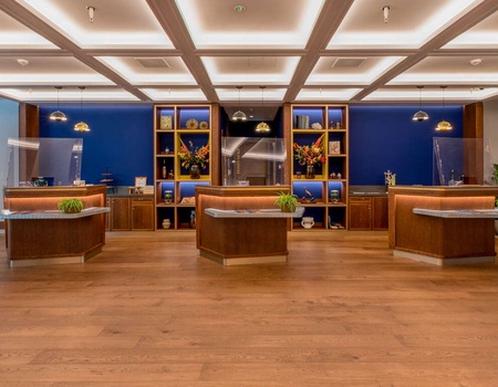 Dîner et séjourner dans le centre de La Haye, y compris des billets d'entrée pour le Keukenhof - 4* - 3