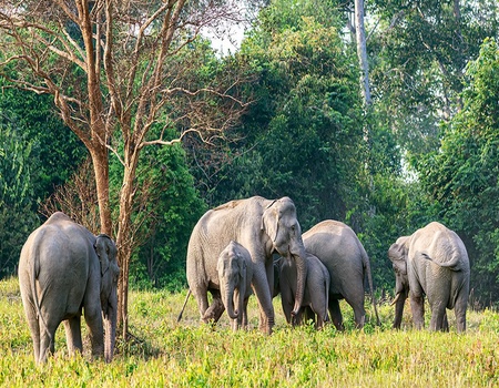 Combiné Trésors authentiques du Siam 4* et séjour Hotel Ao Prao Resort 4* - 5