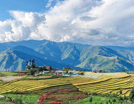 Le Bhoutan, entre vallées et monastères (petit groupe - 6-12 pers.) - 4