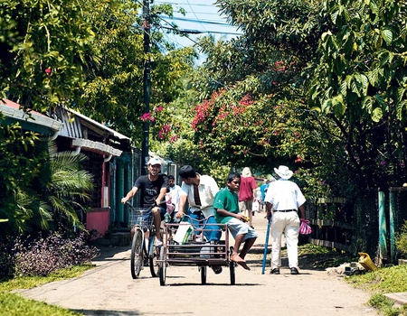 Road Trip L'Éden vert - 5