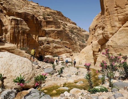 Circuit Au fil des Wadis et des sables éternels de Jordanie - 1