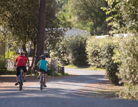 Domaine des Pins, 4* - 3