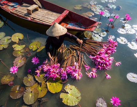 Incontournables du Vietnam - Cambodge en privatif - 2