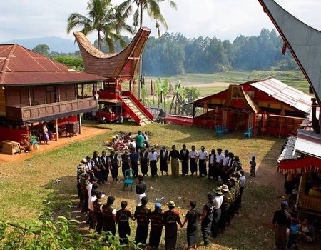 LA PALETTE INDONESIENNE EXT KOMODO - 4