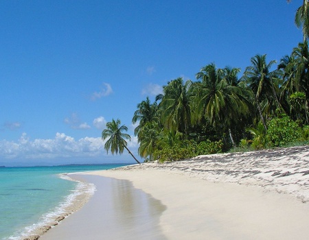 Circuit Combiné Découverte et Détente au Panama - 3