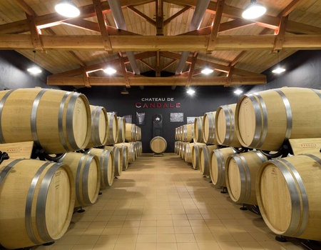 Escapade Bordelaise et dégustation dans un domaine à Saint-Émilion - 4*