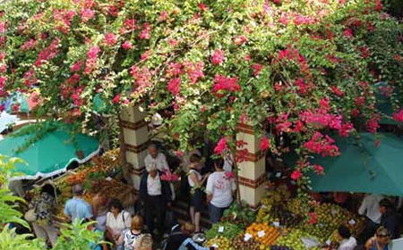 Circuit Au Coeur de Madère 4* - 2