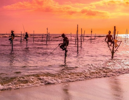 Circuit Privatif - Beautés Cachées du Sri Lanka - 5