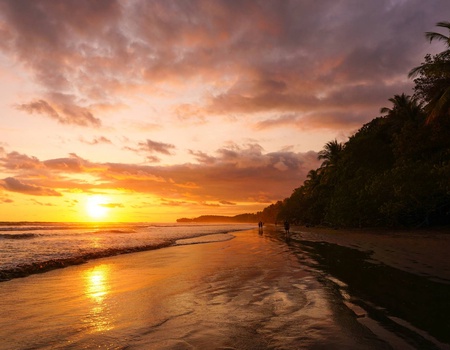 Circuit Costa Rica authentique : trek entre forêts et volcans - 2