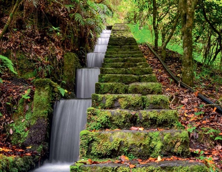 Circuit Échappée active à Madère depuis l'hôtel Dreams Madeira Resort Spa & Marina5* - 5