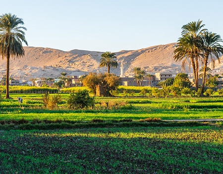 Croisière Gloire des Pharaons (Nile Ferouz) avec excursions au Caire et12 visites incluses 5* - Louxor, Egypte - Image 5