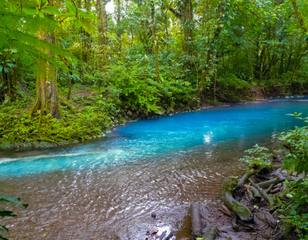 Circuit Autotour Faune & Flore du Costa Rica - 5