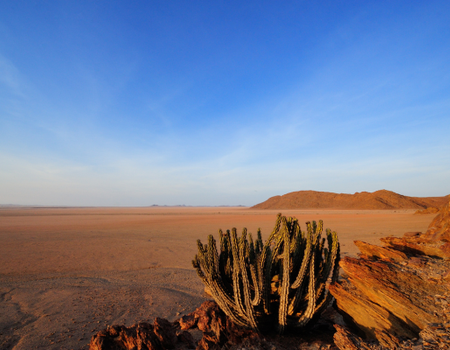Circuit Namibie : Les plus vieux déserts du Monde **Version 2026** - 5