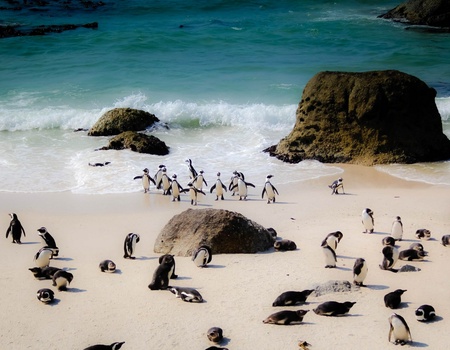 Autotour Clin d'Oeil Sud-Africain - 12J/9N - 5