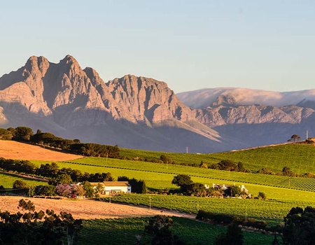 Afrique Australe, du Cap de Bonne Espérance aux chutes Victoria - Formule Premium - 2