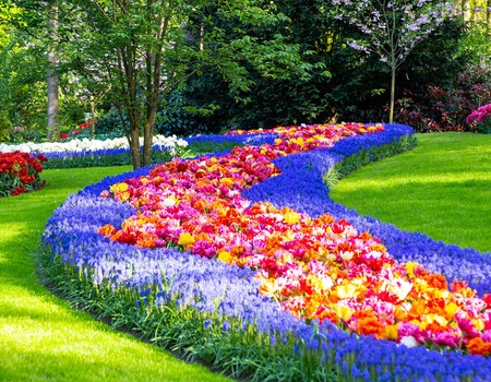 Découvrir Keukenhof et séjourner dans un hôtel design à Amsterdam - 4* - 1