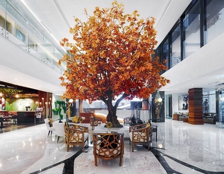 Hôtel C Central Resort The Palm 5* - 3