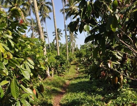 BALI INTIMISTE EXT KOMODO - 5