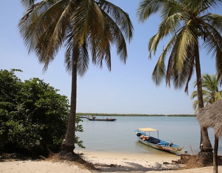 Casamance - Des Iles Et Des Hommes - Sénégal, Afrique Océan Indien - Image 2