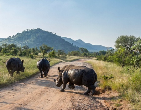 Trésors d'Afrique du Sud, Chutes Victoria & Parc de Chobe 13J/10N - 2026 - 5
