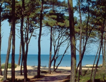 Camping du Petit Pont, 3* - 4