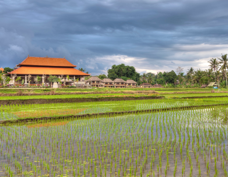 Combiné Bali, Ubud et plages PROMO 16 ou 17 jours - 4