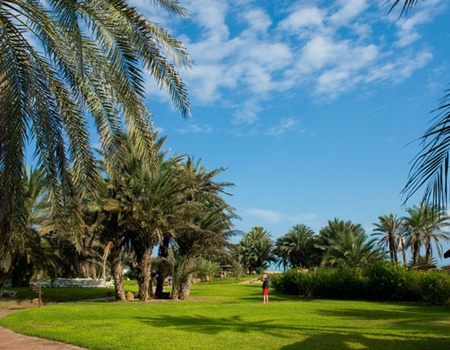 Hôtel Odyssee Resort Thalasso & Spa 4* - 3