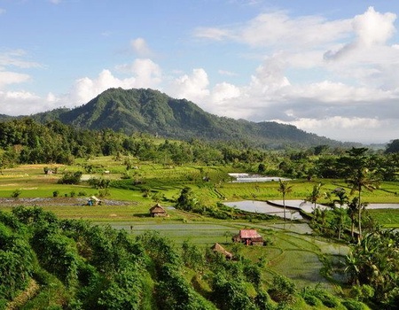 BALI INTIMISTE EXT CELEBES - 4