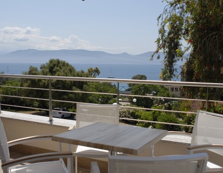 Hôtel Les Eucalyptus 3* (vols vacances) - 1